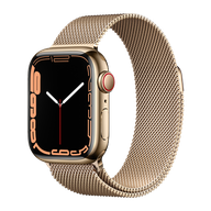 Apple Watch Series 7 41mm Stainless Steel (GPS+Cellular)
