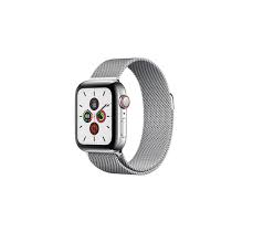 Apple Watch Series 5 40mm Stainless Steel (GPS+Cellular)